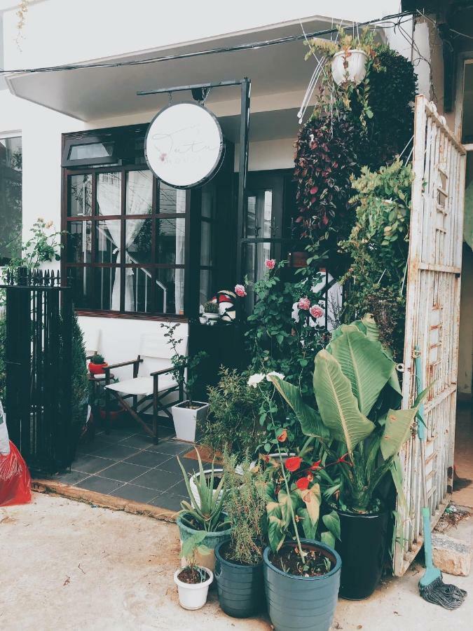 Tutu House Hotel Đà Lạt Ngoại thất bức ảnh