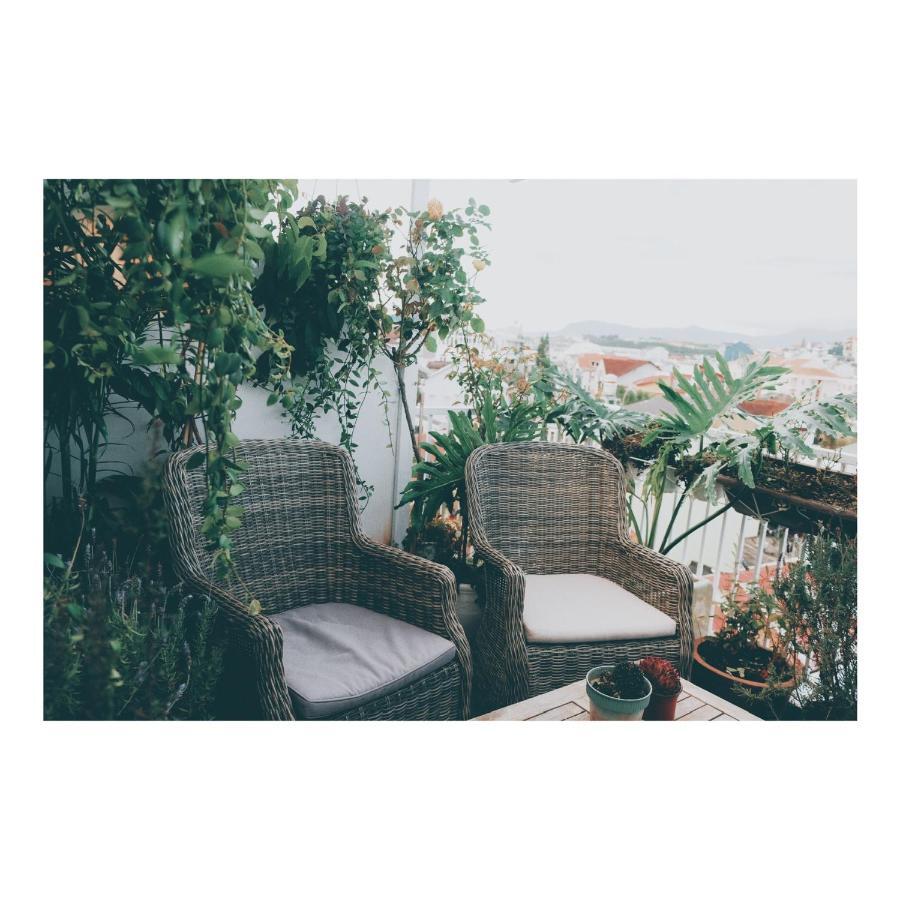 Tutu House Hotel Đà Lạt Ngoại thất bức ảnh